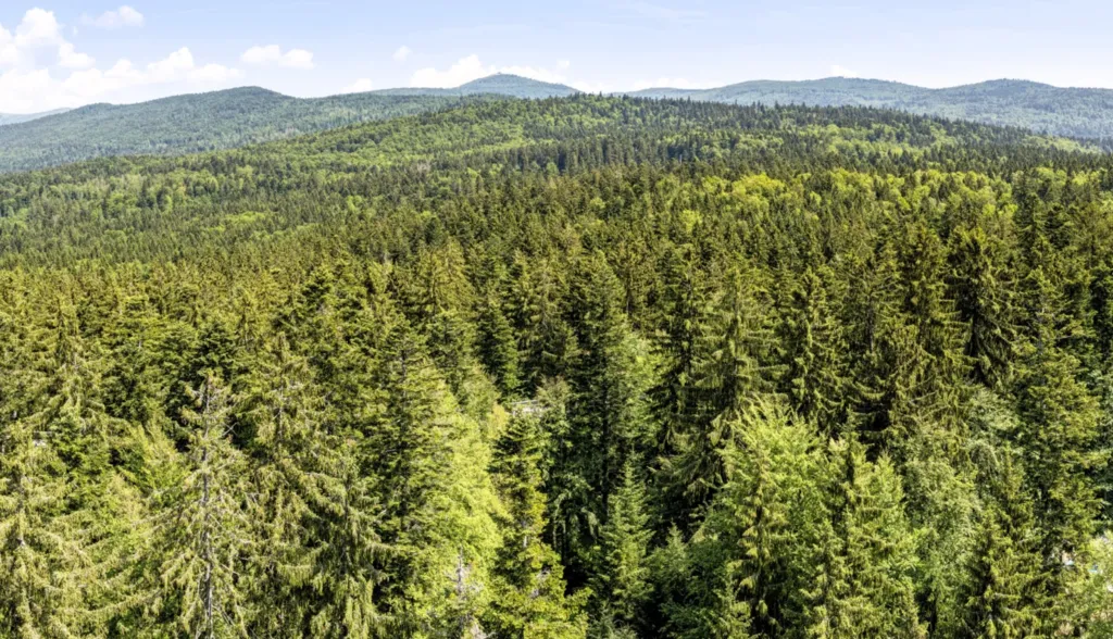Motorradreise Dreiländereck Bayern-Böhmen