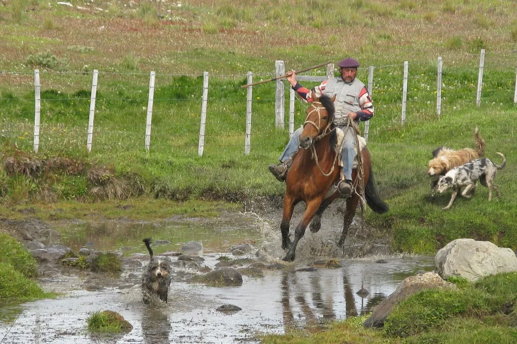 Motorradreise Patagonien: Feuerland bis Ushuaia