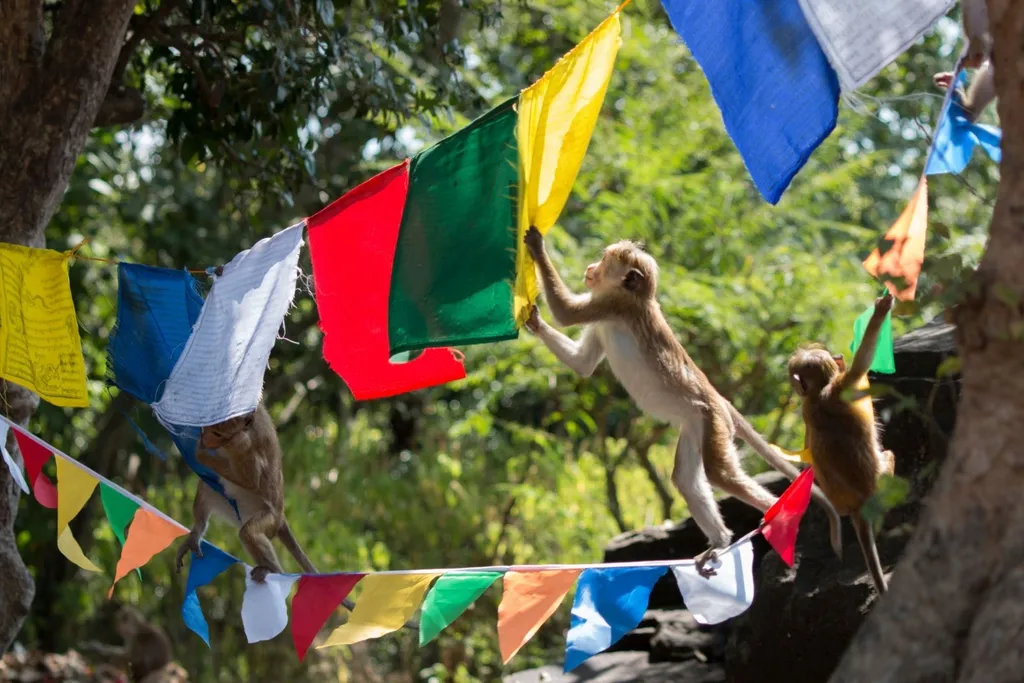 Motorradreise Sri Lanka mit Guide – Enduro-Tour