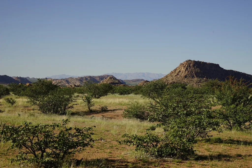 Tag 6: Erongo – Uis