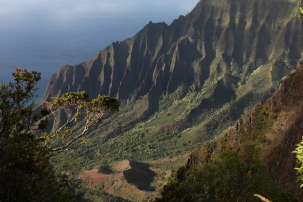 Day 13: Haleakala Vulkan – Lavendelfarmen 230 km