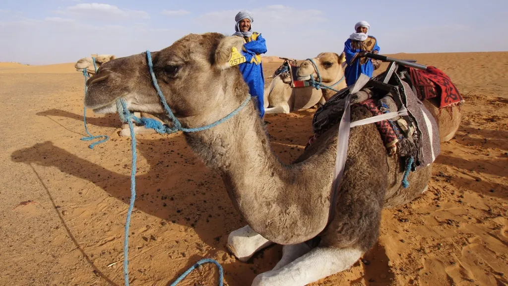Marrakesh – Dades