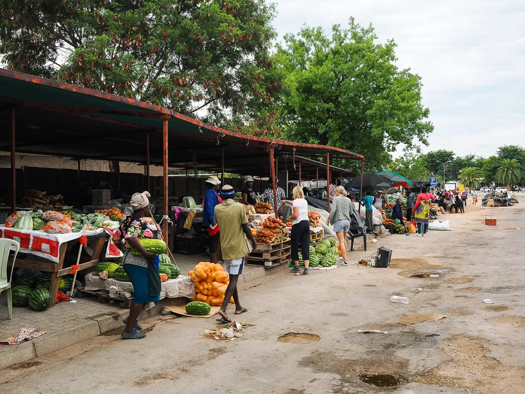 Tag 16: Otavi – Etosha