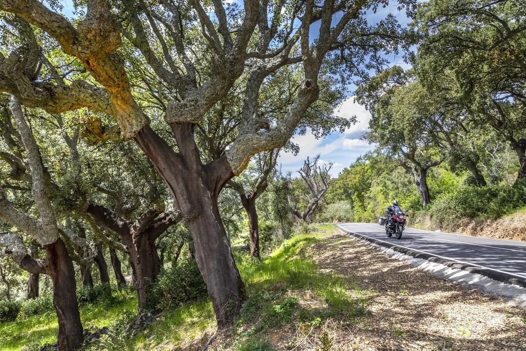 Motorradreise Extremadura – Das romantische Spanien