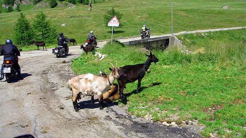 Schweiz