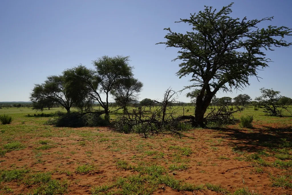 Tag 11: Vingerklip – Erindi Game Reserve