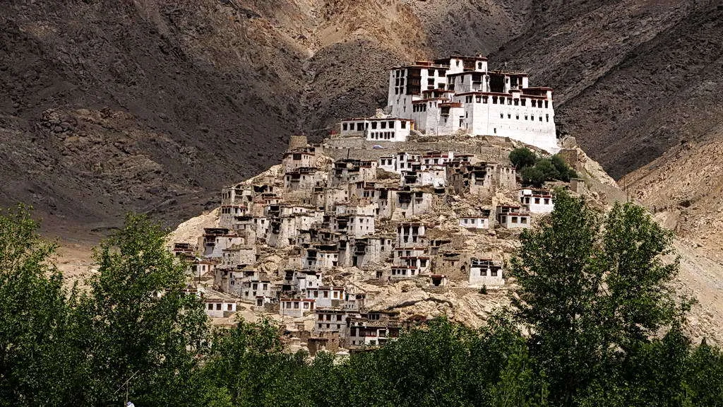 Tag 11: Ein Tag im Nubra Valley