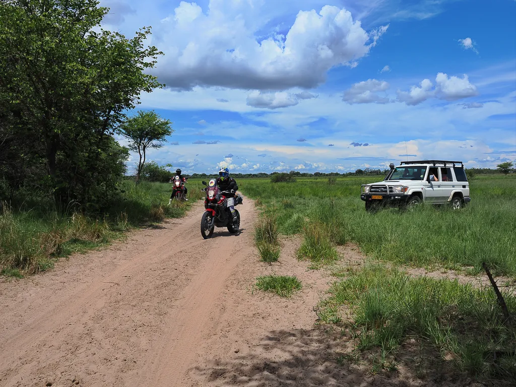 Tag 5: Mt. Etjo – Waterberg