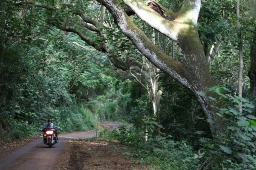 Day 14: Road to Hana 280 km