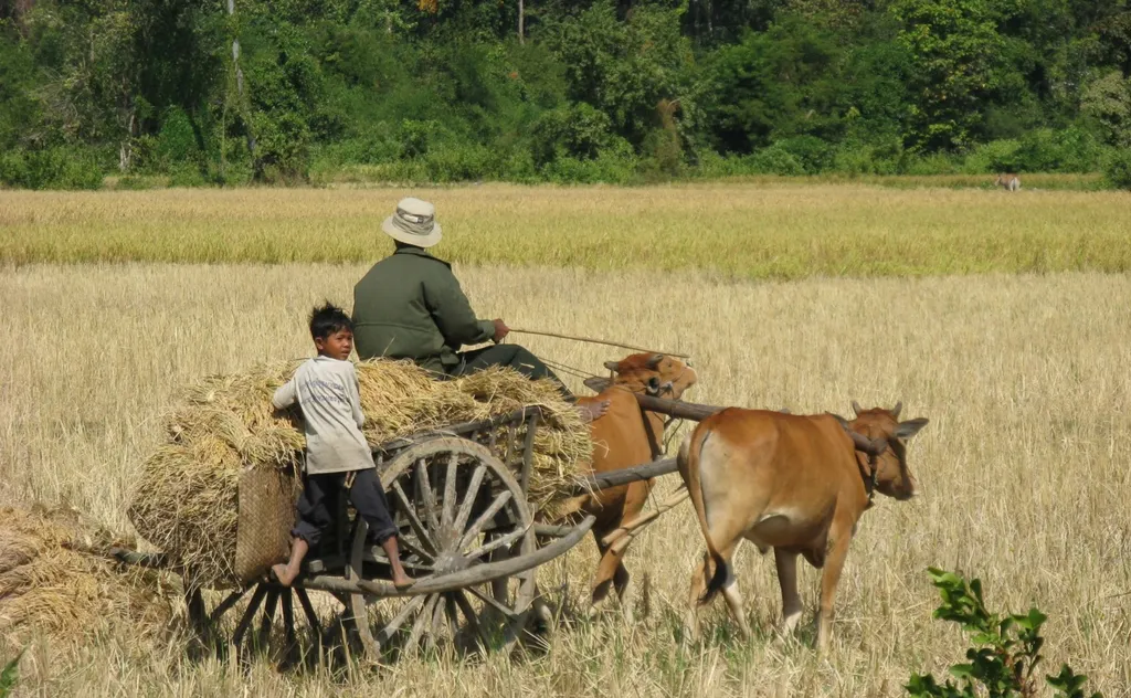 Cambodia Motorcycle Tour – Angkor Wat Adventure