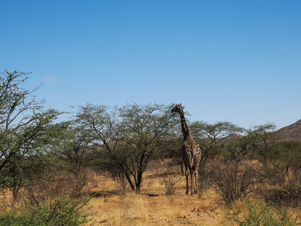 Tag 14: Kwando River – Rundu