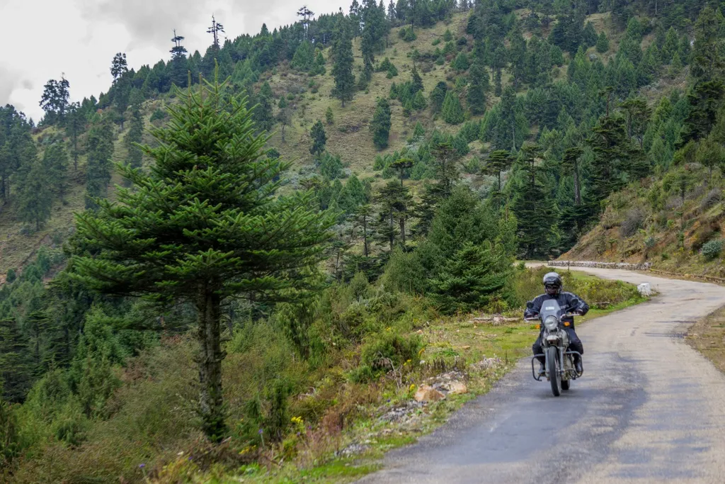 Tag 13: Sohra/Cherrapunji - Ruhetag
