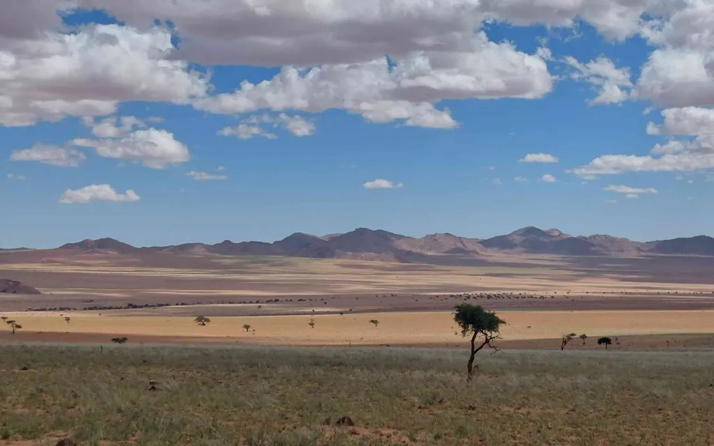 Day 12: Skeleton Coast and Spitzkoppe