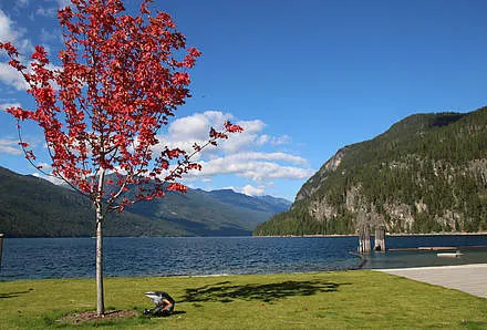 Tag 7: Lake Louise – Jasper, 400 km