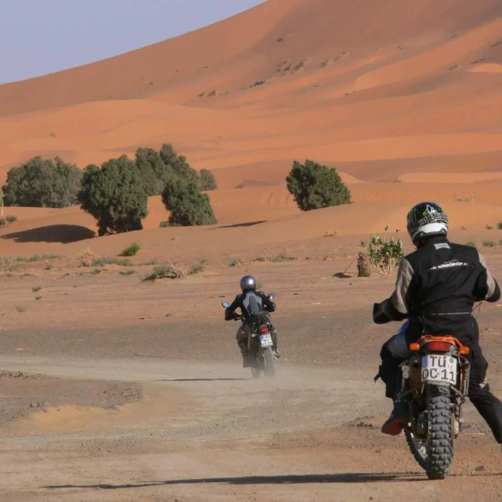 Tag 7 bis 11: Douz, Aufbruch in die Sahara